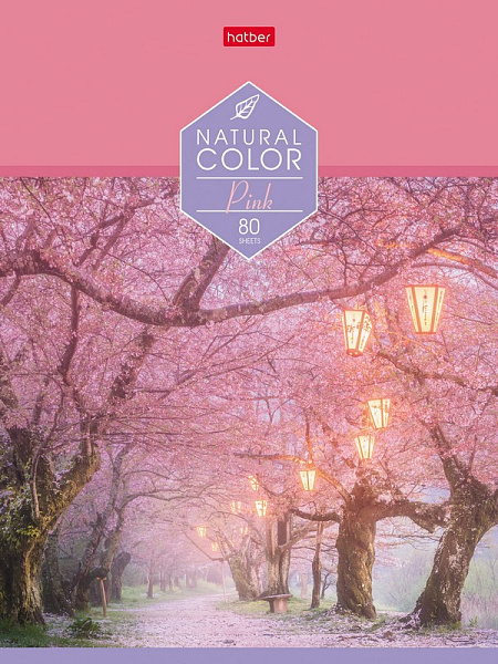 Тетрадь 80 л. лин. "Colour" на скобе 