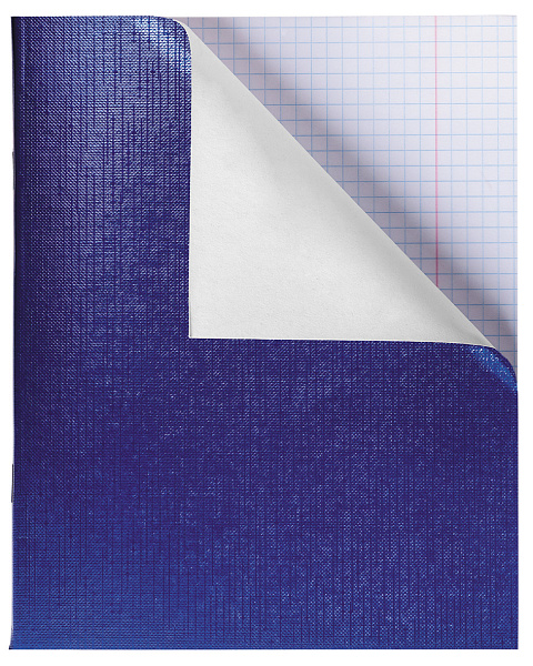 Тетрадь А5 48 листов в клетку, "METALLIC", обложка из бумвинила, тиснение CROCO, 60 г/м2, синяя