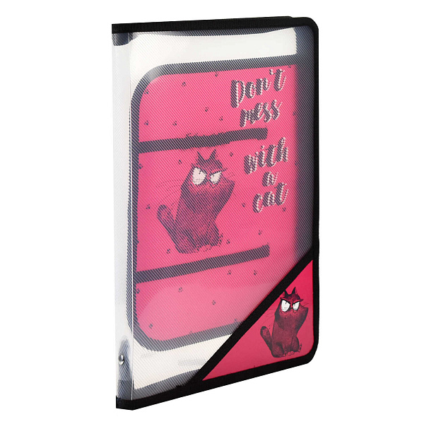 Папка для уроков труда пластиковая арт. / 12 КРЭЙЗИ КОТ (полипропилен, формат А4, 22.8x32.8 см, 1 отделение (-я), молния, внутренний разделитель с эластичными держателями для канцелярских принадл