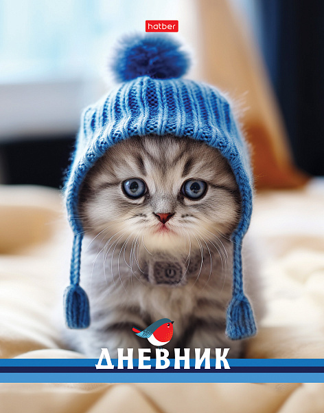 Дневник 1-11 кл. 40 л. тв.переплет "Котик в шапочке" глянц. ламин