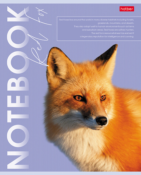 Тетрадь 80 л. кл. "Дикие и свободные" на скобе мат.ламин.