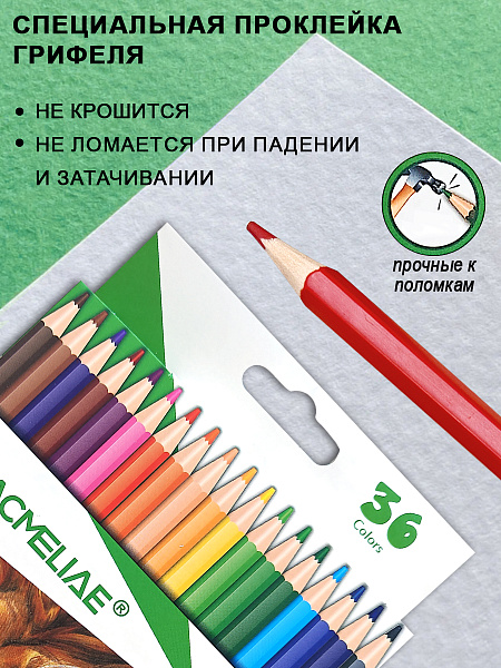Карандаши 36 цв.  ACMELIAE пластиковые шестигранные в картонном футляре, в термоусадке