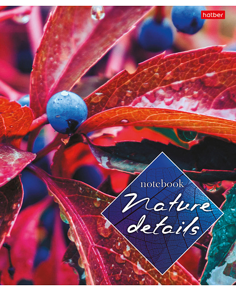 Тетрадь 40 л. кл. "Детали природы" 65г/кв.м