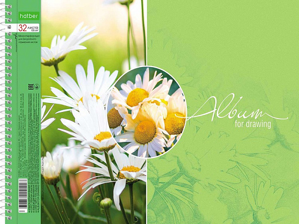 Альбом для рисования 32 листа на спирали "Красота цветения" 5 диз.в блоке