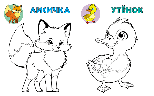 Раскраска А5+ ПОСМОТРИ И РАСКРАСЬ. "ЖИРАФИК"