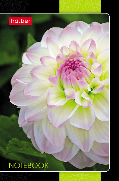 Блокнот 48л А7ф 65х100мм 3-х цв. блок клетка Обл. мел.бумага ламинация на клею серия -Цветочная галактика-