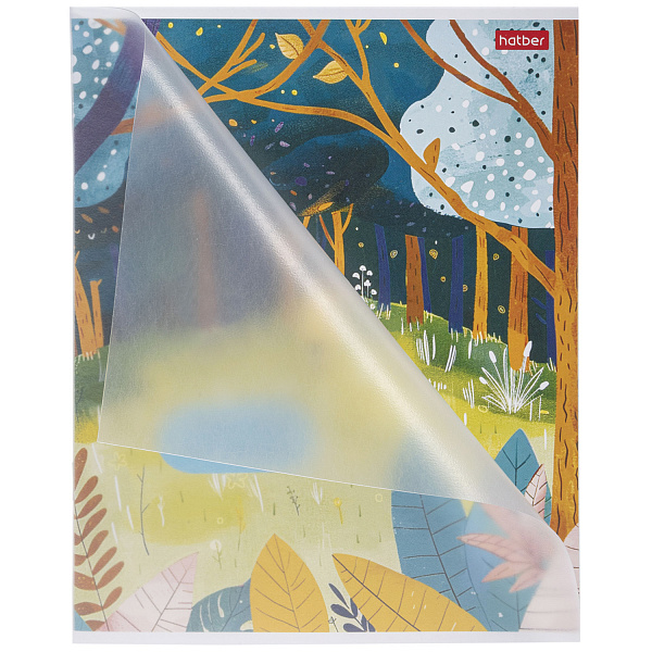 Тетрадь 48 л. кл. Пластиковая обложка "Наедине с собой" 65г/кв.м 1 диз.в блоке