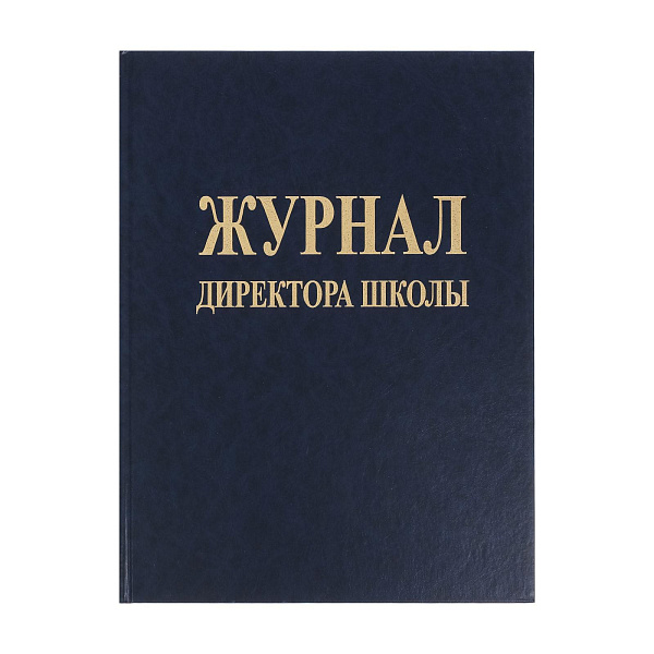 Журнал директора школы