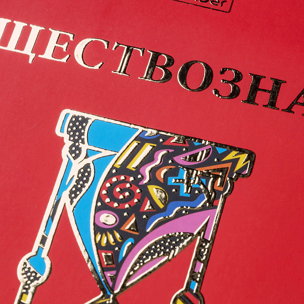 КОМПЛЕКТ Тетрадь предметная 46 л. 12 шт. "Красный шик" Обл. мел.картон мат.ламин. 3D фольга С интерактивн.справочн.инф. в подарочн. коробочке