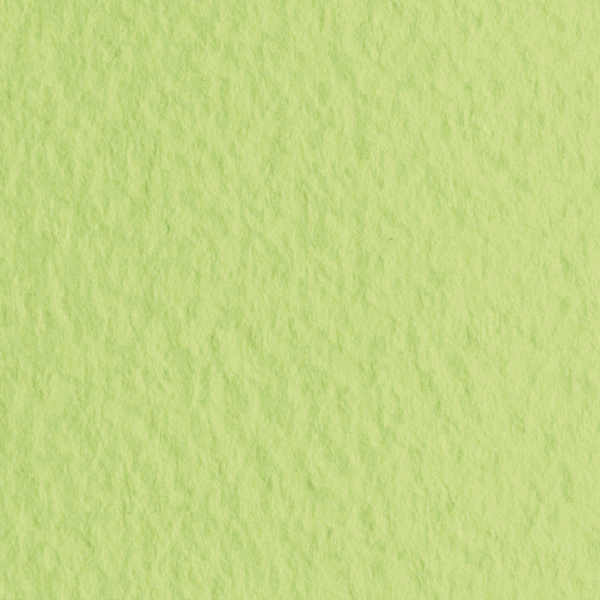 Бумага для пастели 500*650 "Tiziano" Салатовый тёплый ,160г/м.кв ЦЕНА ЗА 1ЛИСТ (10л)