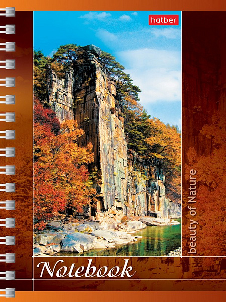 Записная книжка А6 80 л. кл. на гребне "Пейзажи"