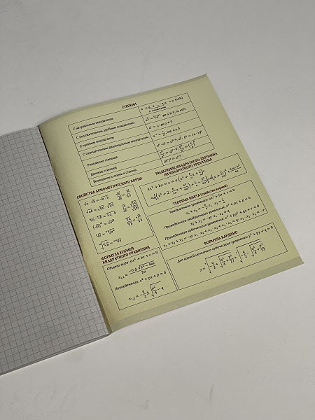 Тетрадь предметная 36 листов "Картинки" Алгебра, со справочным материалом, обложка мелованная бумага, блок №2 (серые листы)