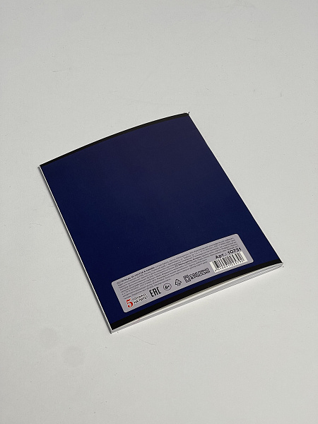 Тетрадь 48 листов, линейка, обложка мелованный картон, блок офсет, синяя