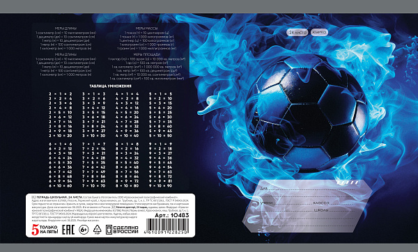 Тетрадь 24 листа в клетку "Футбол" обложка из мелованной бумаги(115 г/м²) блок офсет 60 г/м², 92%, микс 5 вид