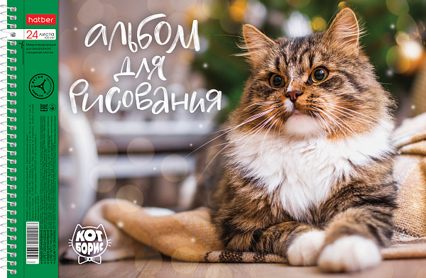 Альбом для рисования 24 листа на спирали "Кот Борис" перфорация на отрыв