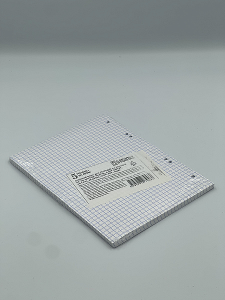 Сменный блок для тетрадей на кольцах А5, 80 листов, клетка, блок офсет, 60 гр/м, белизна 100%