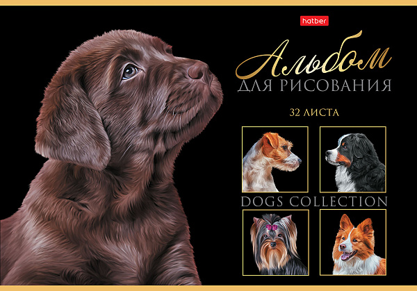 Альбом для рисования 32 листа "Портрет лучшего друга"  выб лак