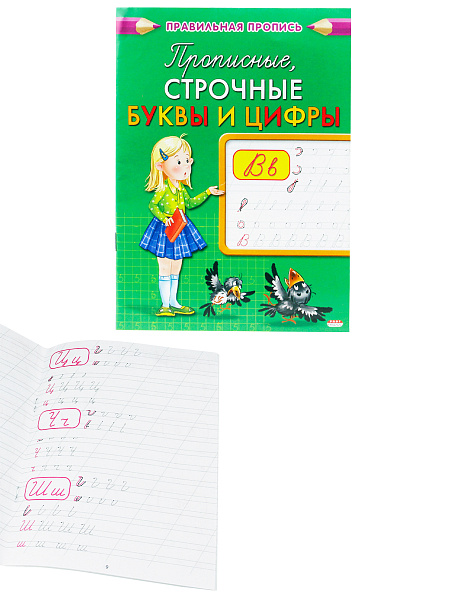 Пропись А5 Каллиграфическая ПРОПИСНЫЕ, СТРОЧНЫЕ БУКВЫ И ЦИФРЫ 8л., обл.-цветная мелов.бум