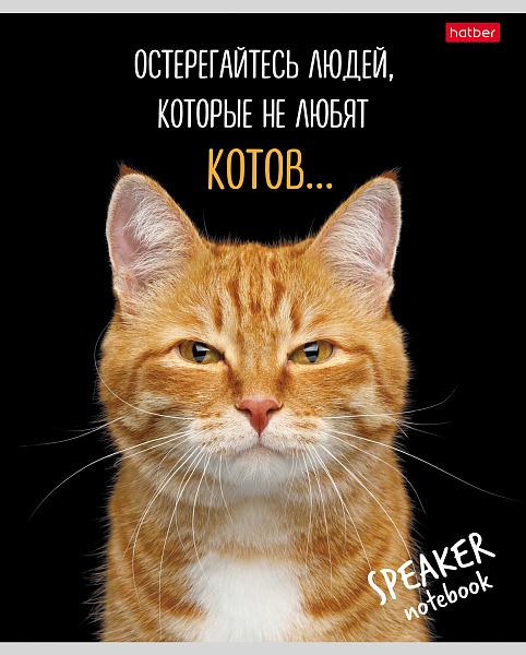 Тетрадь 40 л. кл. "Кот говорит" на скобе  65г/кв.м 