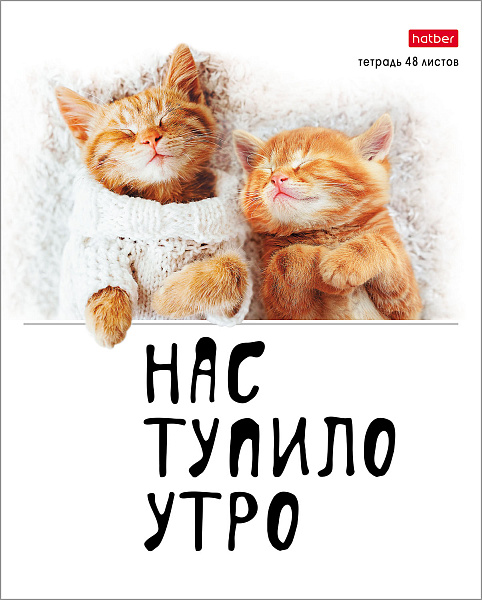 Тетрадь 48 л. кл. "Котоюмор" 65г/кв.м 5 диз.в блоке скругл.углы  