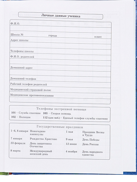 Дневник 1-4 кл. 48 л. "ПОТРЯСАЮЩИЙ КОСМОС" глянцевая ламинация.