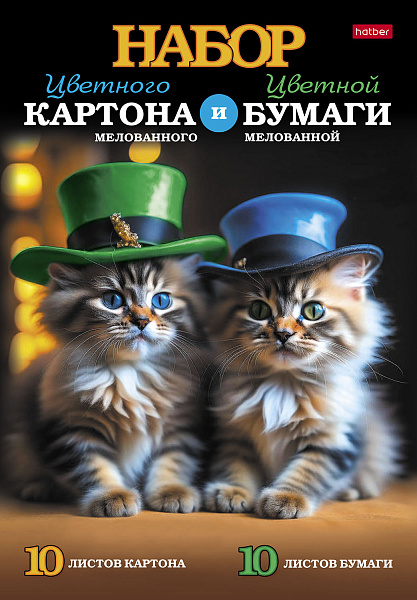 Набор картона мел. и цветной мел. бумаги 20л 10цв.+10цв. "Пушистые друзья" А4ф 194х280мм в папке 