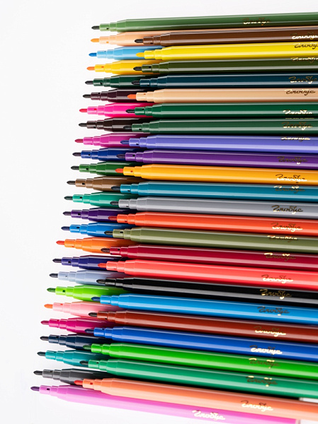 Фломастеры 50 цв. "Глобус" смываемые, пластик. бокс