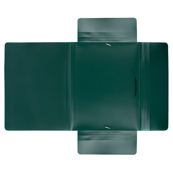 Папка на резинке А4 "Expert Complete" PRISMA 600 мкм  35 мм изумрудный