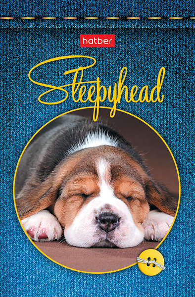 Блокнот А7 48 л. 65х100 мм, 3-х цв. блок на клею "Сони-засони"