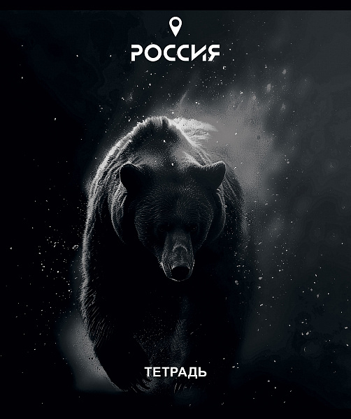 Тетрадь 48 л. кл. "Место силы" А5 Скрепка S  Премиум 4+0+Ламинация (Софт тач)+брайль (микс