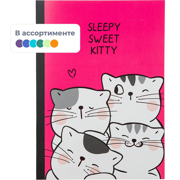 Тетрадь 60 л. кл. So Many Cats B5, блок бел, пластик. обл. в ассортимент