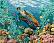 Алмазная мозаика 50*40 "ФРЕЯ" на подрамнике "Морские обитатели"