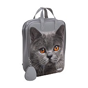 Рюкзак ErichKrause ActiveLine Basic 16L Grey Cat