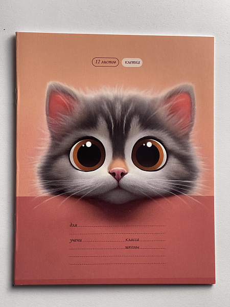 Тетрадь 12 листов в клетку обложка из мелованного картона (200г/м2), блок офсет (92%, 60г/м2), микс 5 видов