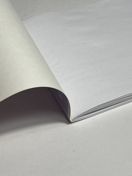 Альбом для рисования А4, 40 листов, на скрепке, обложка мелованный картон 200г/м, блок офсет 100г/м