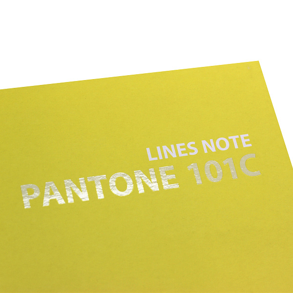 Тетрадь А5+ 96 л. линия Pantone line. Color '21. No. 3 Интеграл. перепл., матов.ламин., выб.лак. Пантон.печать.Титул. лист, Бум. 60гр/м2,