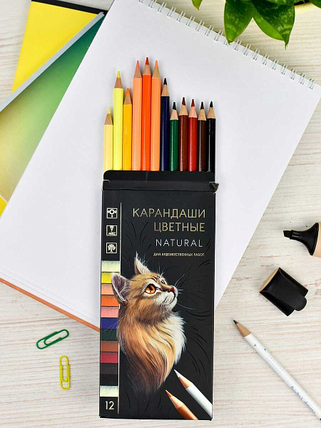 Карандаши 12 цветов "НАТУРЕЛЬ" (деревянные, размер: 8,6*17,8*0,85 см, форма корпуса: круглая, материал корпуса: светлое дерево, отделка: золотое тиснение на корпусе, диаметр