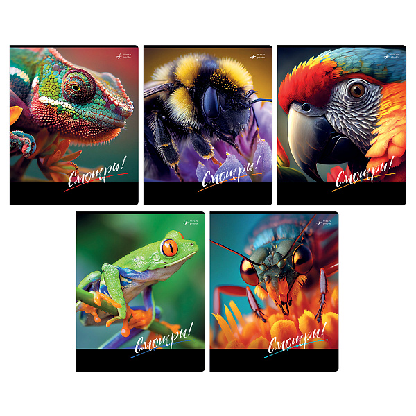 Тетрадь А5 48 листов в клетку, BG "Смотри", обложка мелованный картон, вд-лак, серый блок 60 г/м2, суперэконом