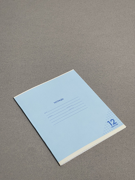 Тетрадь 12 листов в клетку Однотонная III, обложка из мелованного картона (200г/м2), блок офсет (92%, 60г/м2), микс 5 цветов