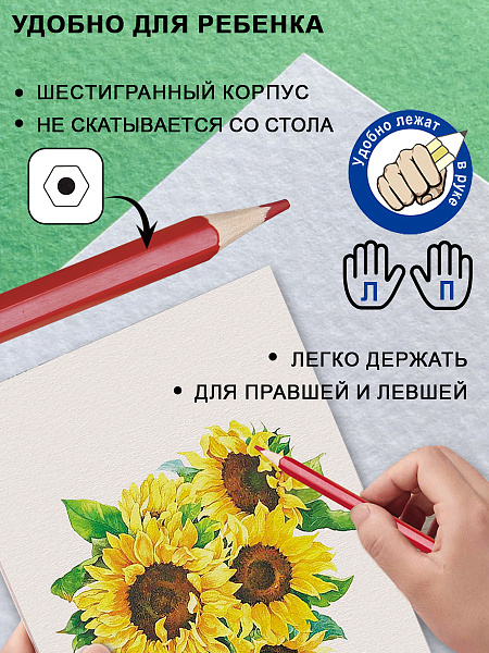 Карандаши 18 цв.  ACMELIAE пластиковые шестигранные  в картонном футляре, в термоусадке