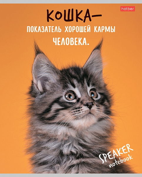 Тетрадь 40 л. кл. "Кот говорит" на скобе  65г/кв.м 