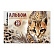 Альбом для рисования 20 листов на клею ErichKrause Wild Cat, А4