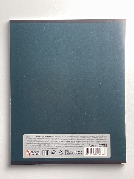 Тетрадь 48 листов, линейка, обложка мелованный картон, блок №2, зеленая