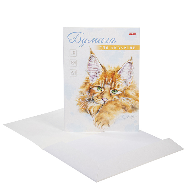 Бумага д/рис. А4 10 л."Рыжий котик" 200г/кв.м в папке тиснение