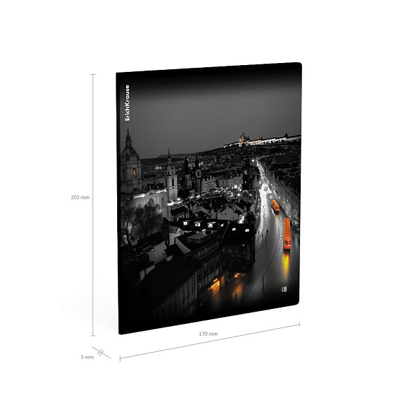 Тетрадь 48 листов в клетку "Urban Lights", глянцевая ламинация ErichKrause   _MIX-PACK