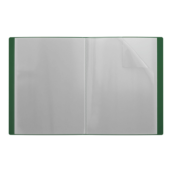 Папка 20ф пластиковая ErichKrause® Classic, A4, зеленый