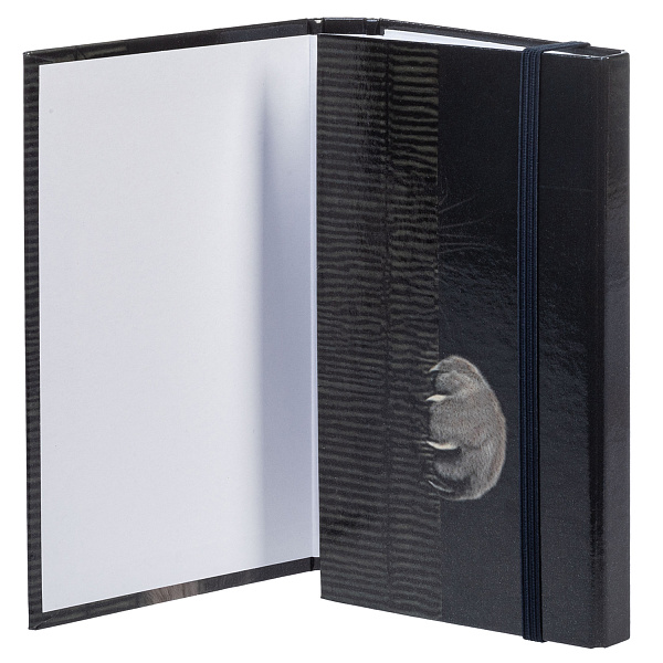 Записная книжка А6 80-50 л. на гребне "Мур-Мяу" с твердой обложкой с клапаном на резинке в индив.упак.