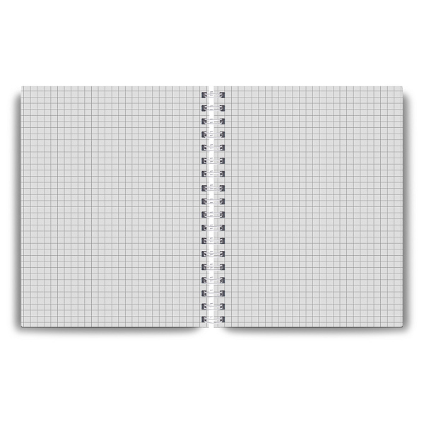 Тетрадь 48 л. кл. на гребне пластик. обложка "Тайны природы, лайм" ч/б запечат. титульн.лист, 180 мкм., A5 65 г/кв.м , белизна 100% 01546 "Светоч"