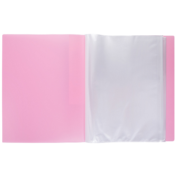 Папка 40ф А4 "Expert Complete" Trend ICEberries 600 мкм  20 мм  1 шт. клубника