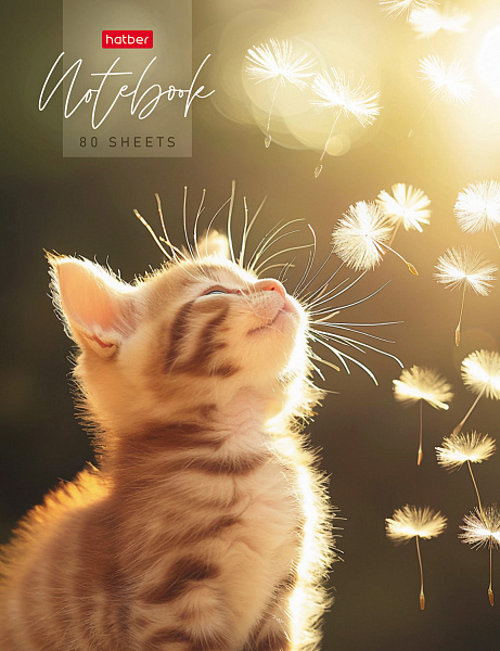 Бизнес-блокнот А5 80 л. кл. тв.переплет "Солнечный котик" 167х216мм 5-цв. блок запечат. форзац глянц. ламин